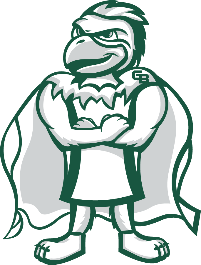 Wisconsin-Green Bay Phoenix 2020-Pres Mascot Logo v4 diy DTF decal sticker